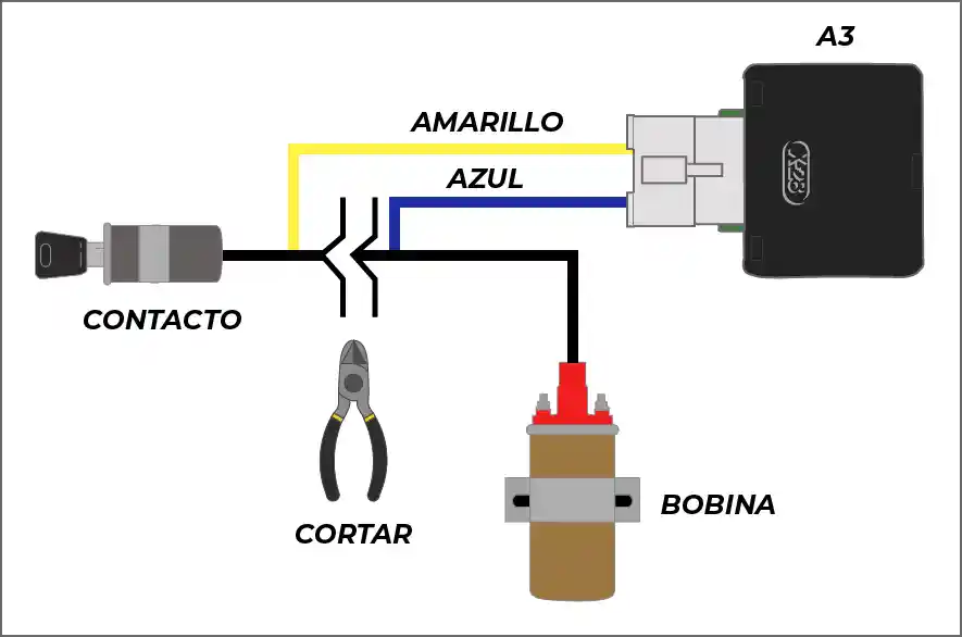Conexión Contacto