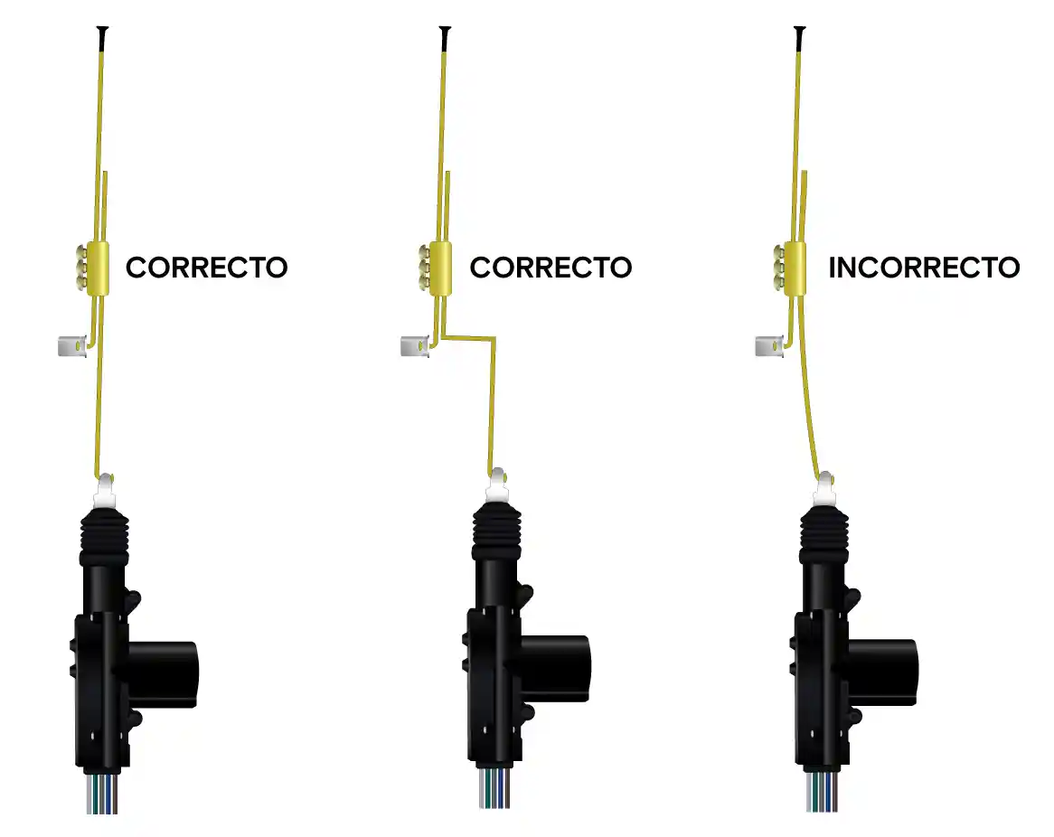 consejo